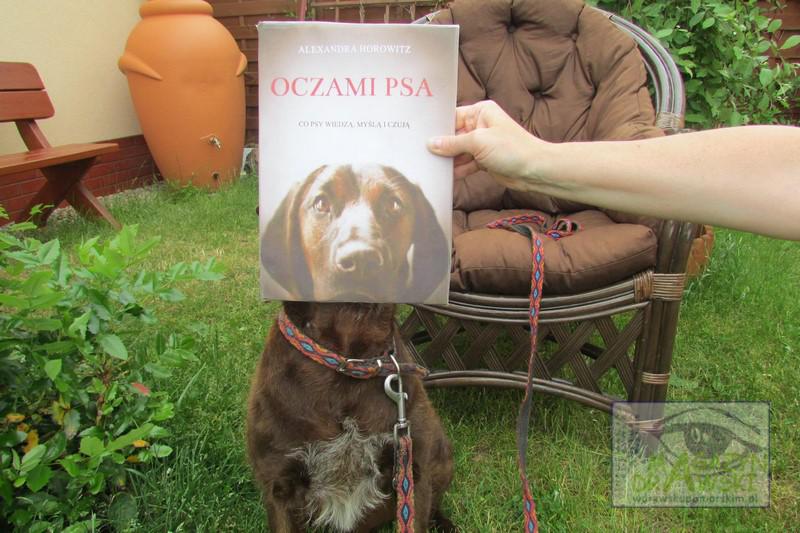 Projekt „Czytamy razem” 