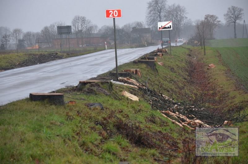 Mniej drzew, mniej ofiar 