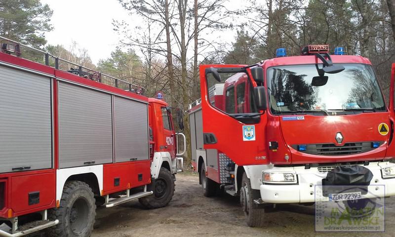 Duży pożar lasu - spłonęło 6 hektarów. 