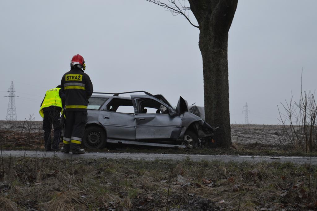 Wypadek pod Łobzem. Auto uderzyło w drzewo. 